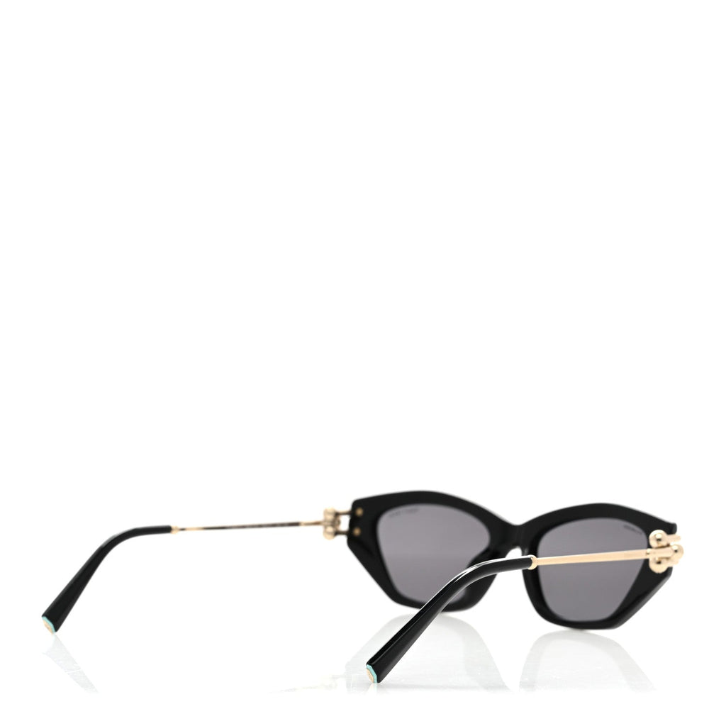 Acetate Polarized HardWear Cat Eye Sunglasses TF4231U Black
