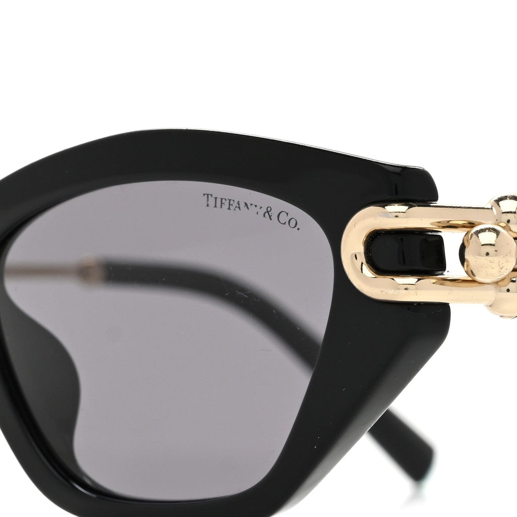 Acetate Polarized HardWear Cat Eye Sunglasses TF4231U Black