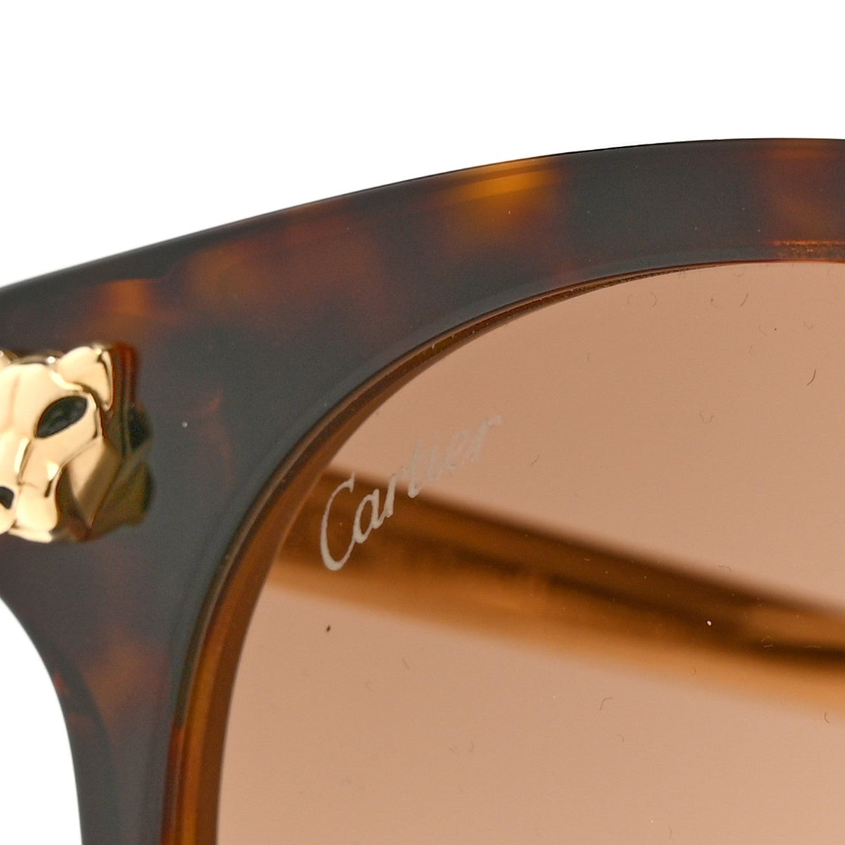 Acetate Panthere De Cartier Sunglasses CT0245SK Tortoise Gold