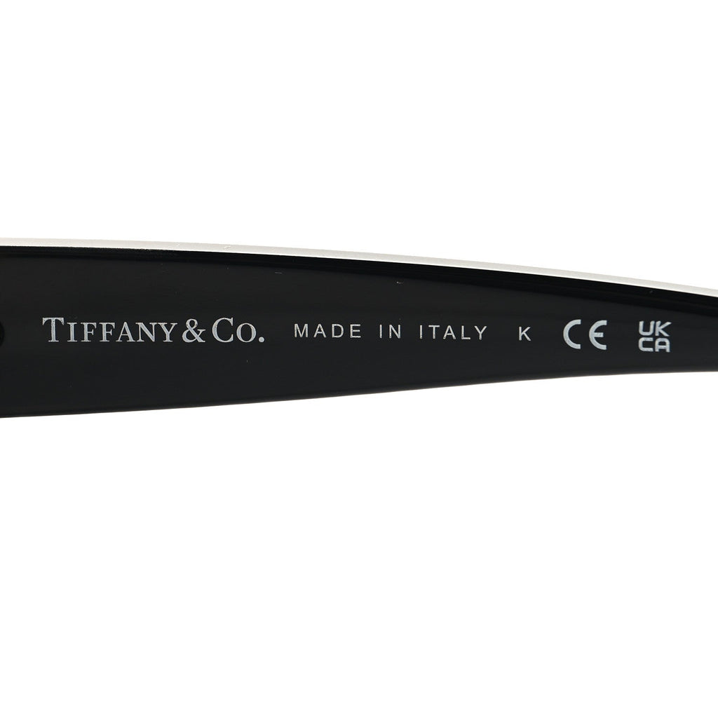 Acetate Sunglasses TF4205-U Black