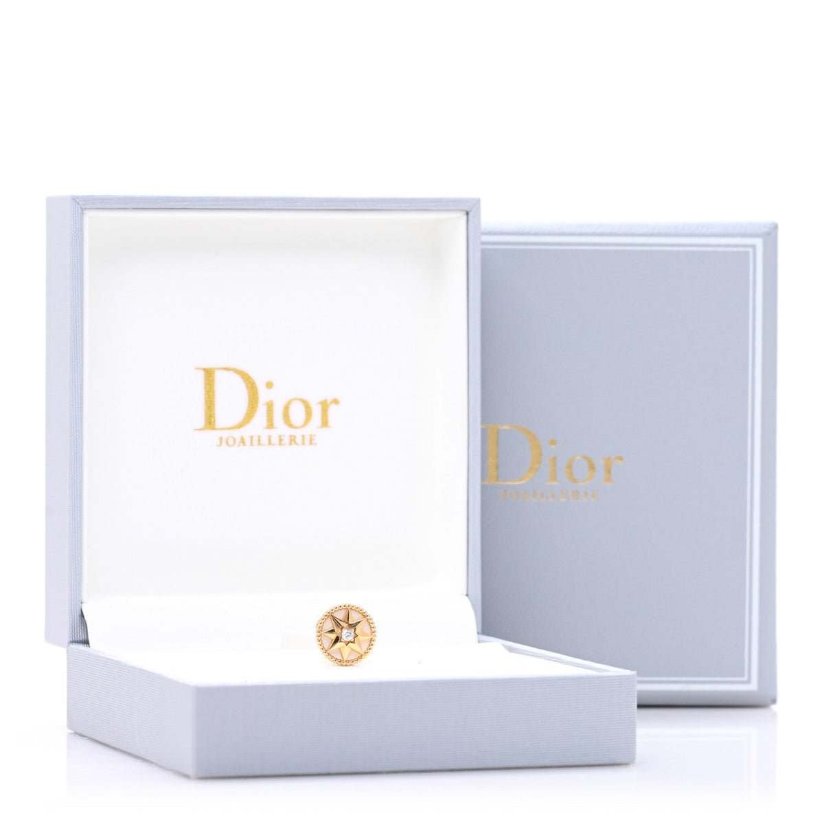 18K Yellow Gold Diamond Mother Of Pearl Medium Rose Des Vents Single Earring