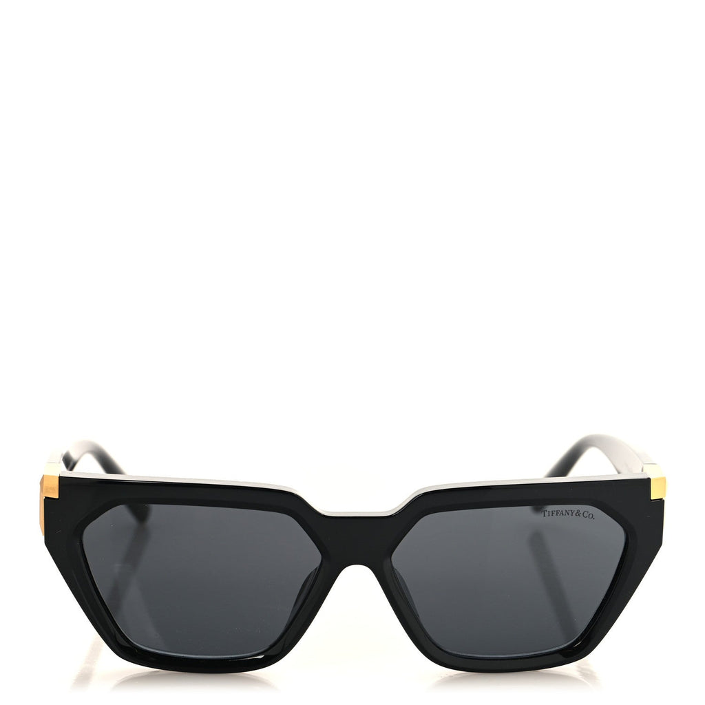 Acetate Sunglasses TF4205-U Black