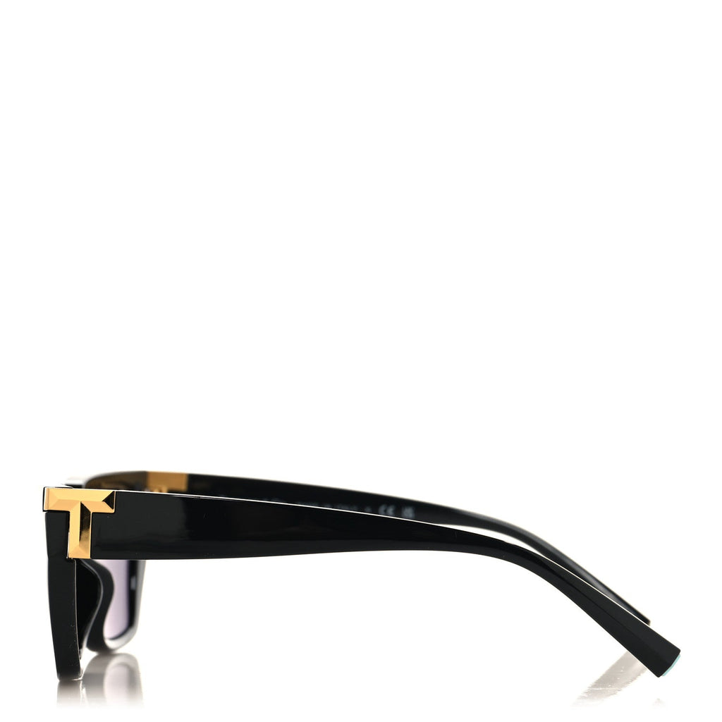 Acetate Sunglasses TF4205-U Black