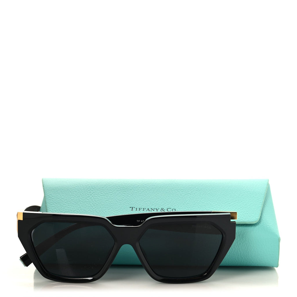 Acetate Sunglasses TF4205-U Black