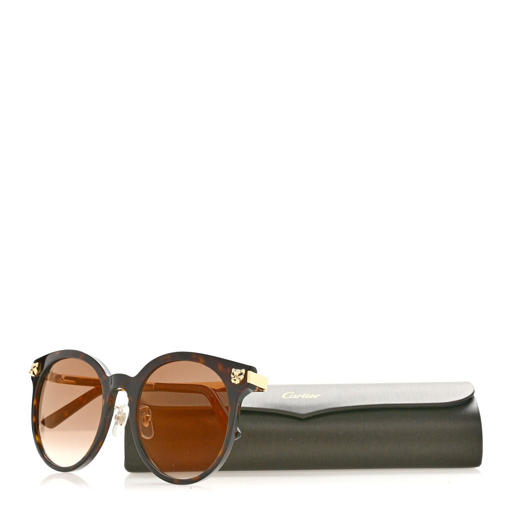 Acetate Panthere De Cartier Sunglasses CT0245SK Tortoise Gold