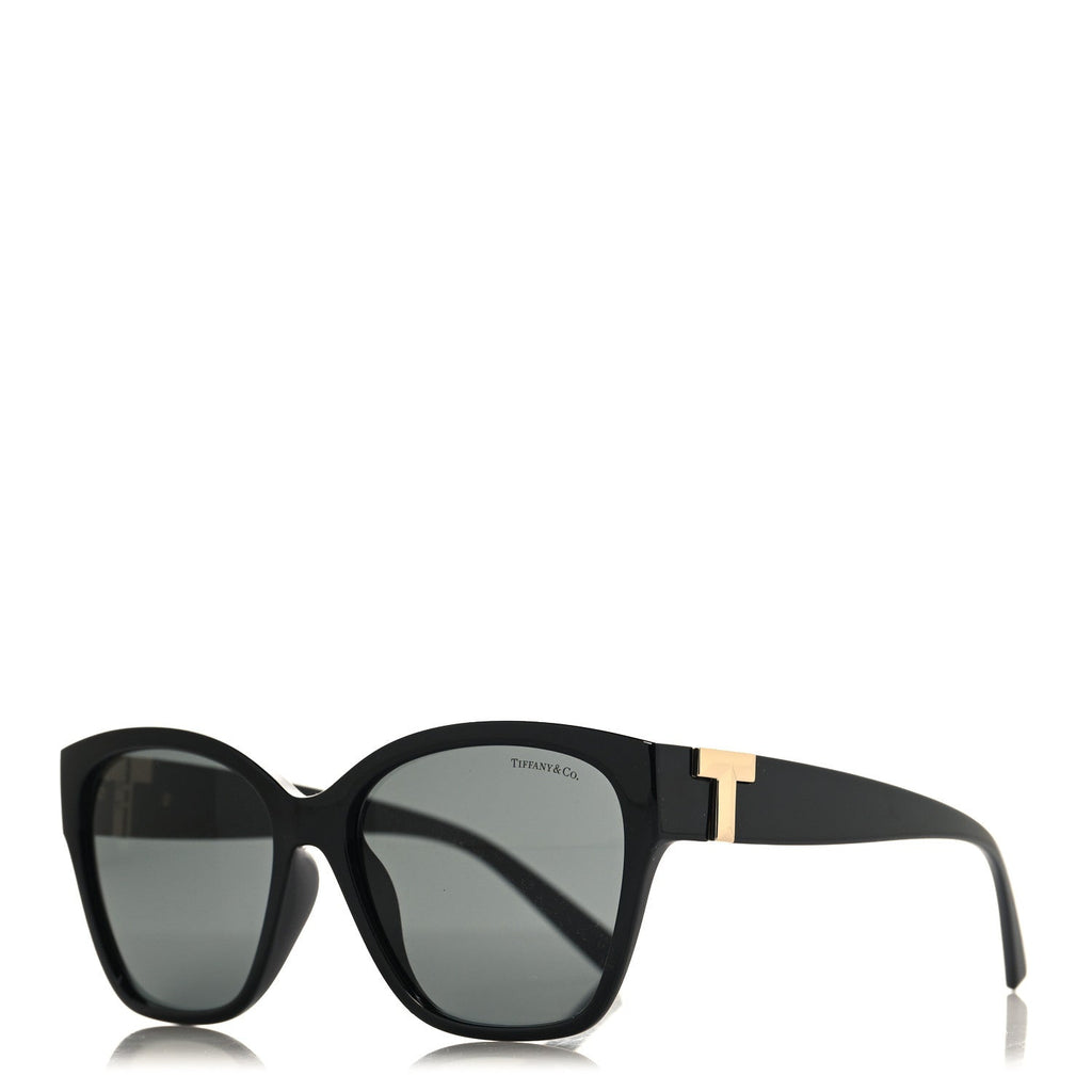 Acetate Square Sunglasses TF4254 Black