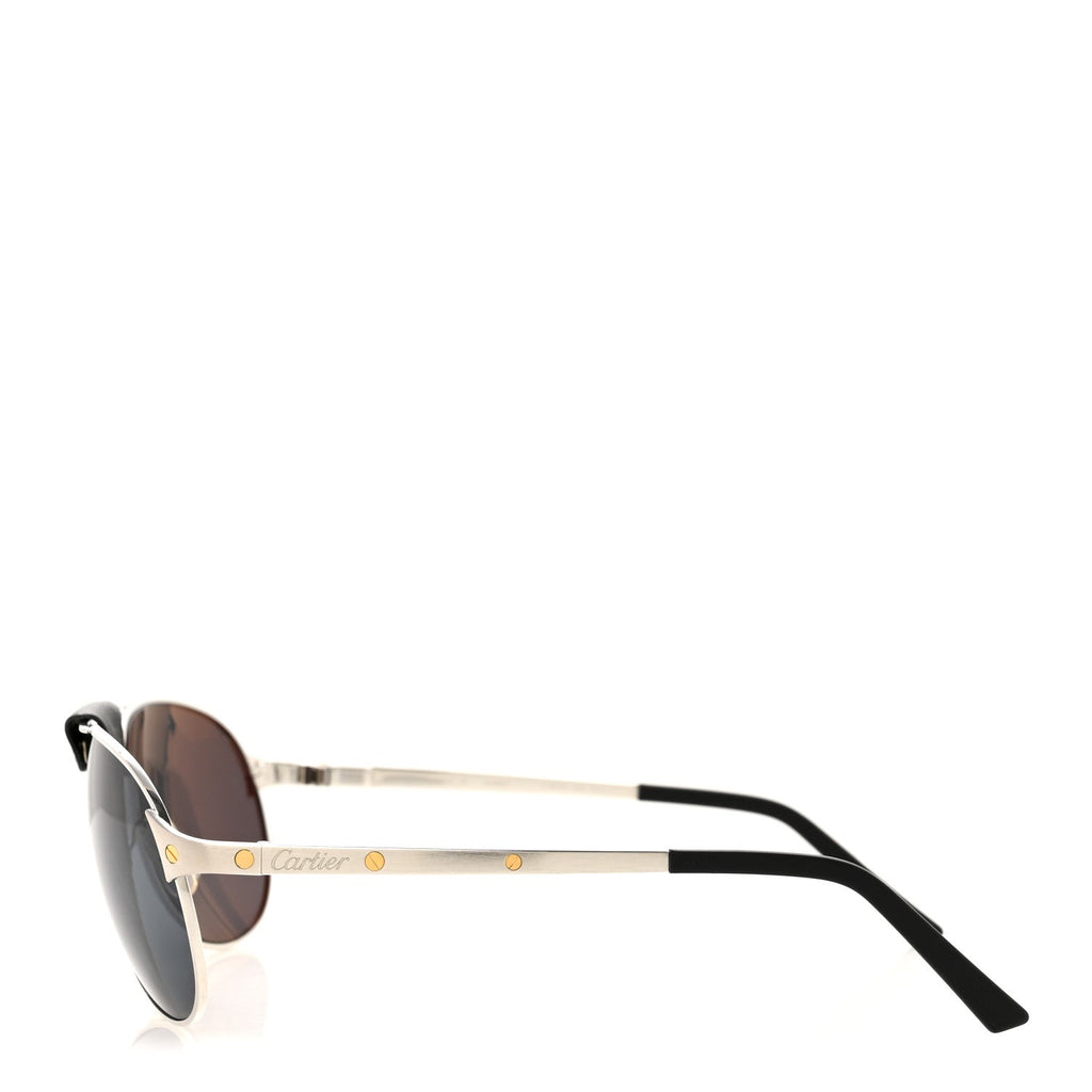Santos de Cartier Sunglasses CT0074S Black