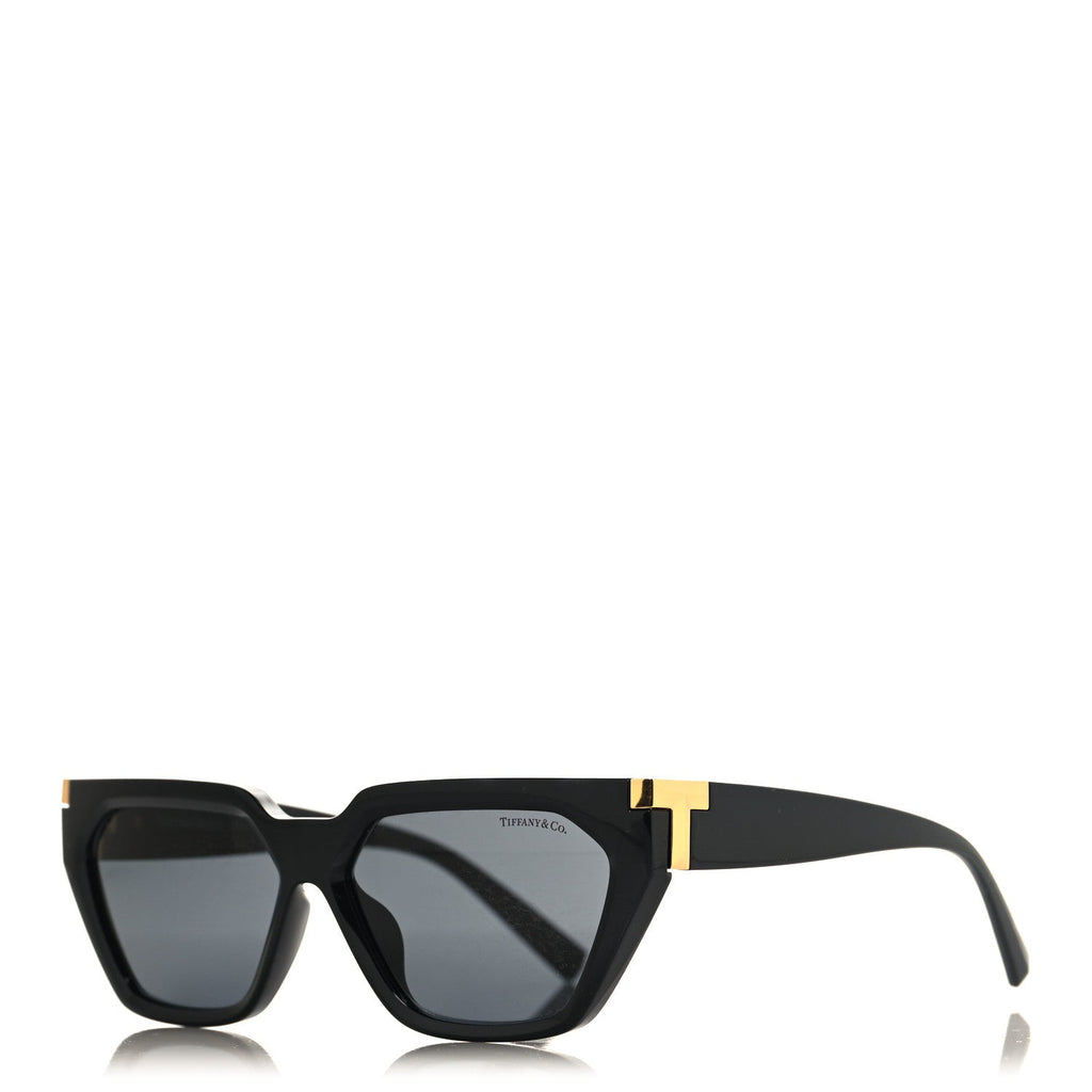 Acetate Sunglasses TF4205-U Black