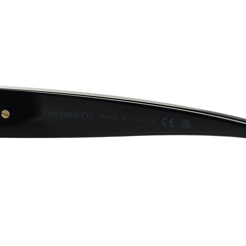 Acetate Square Sunglasses TF4254 Black