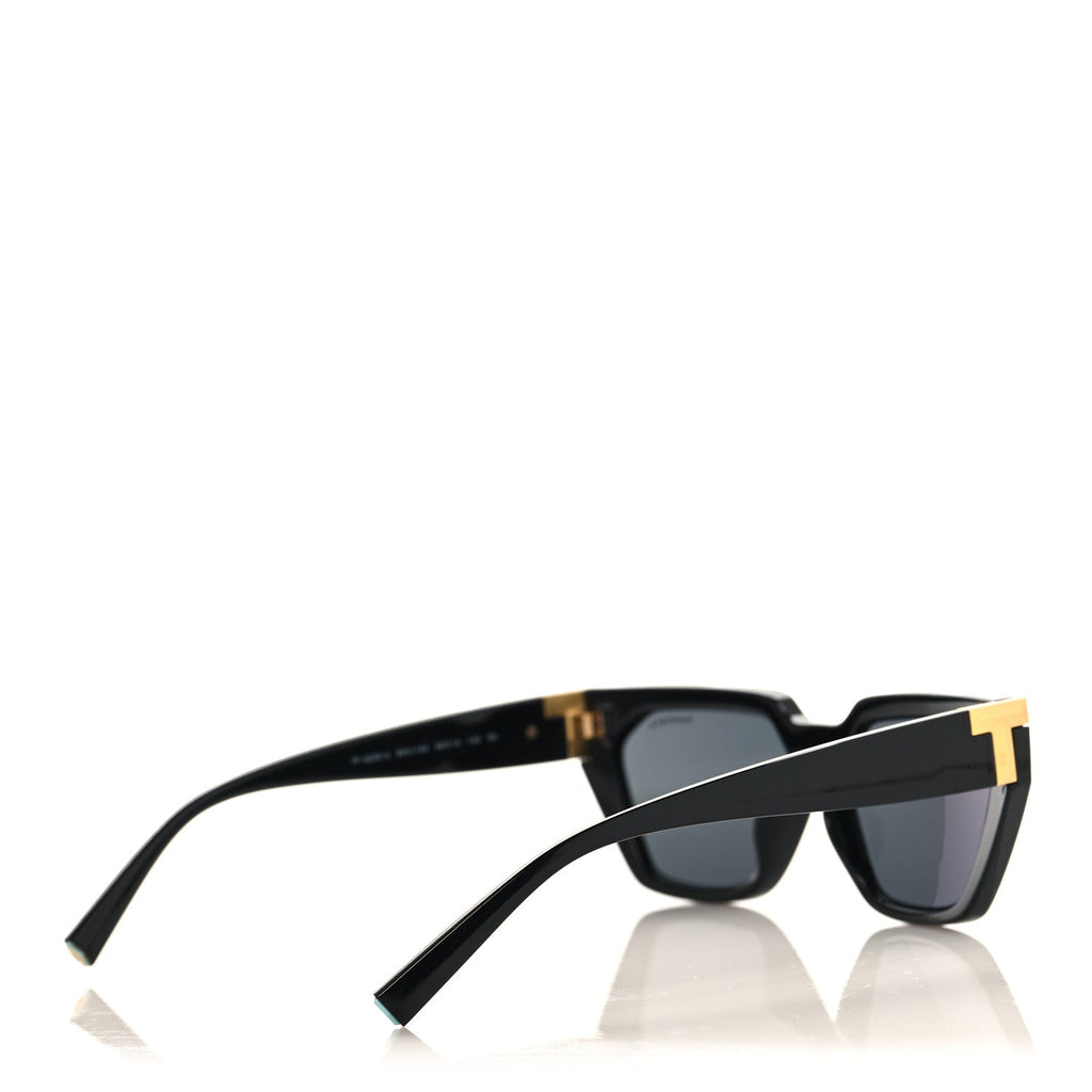 Acetate Sunglasses TF4205-U Black