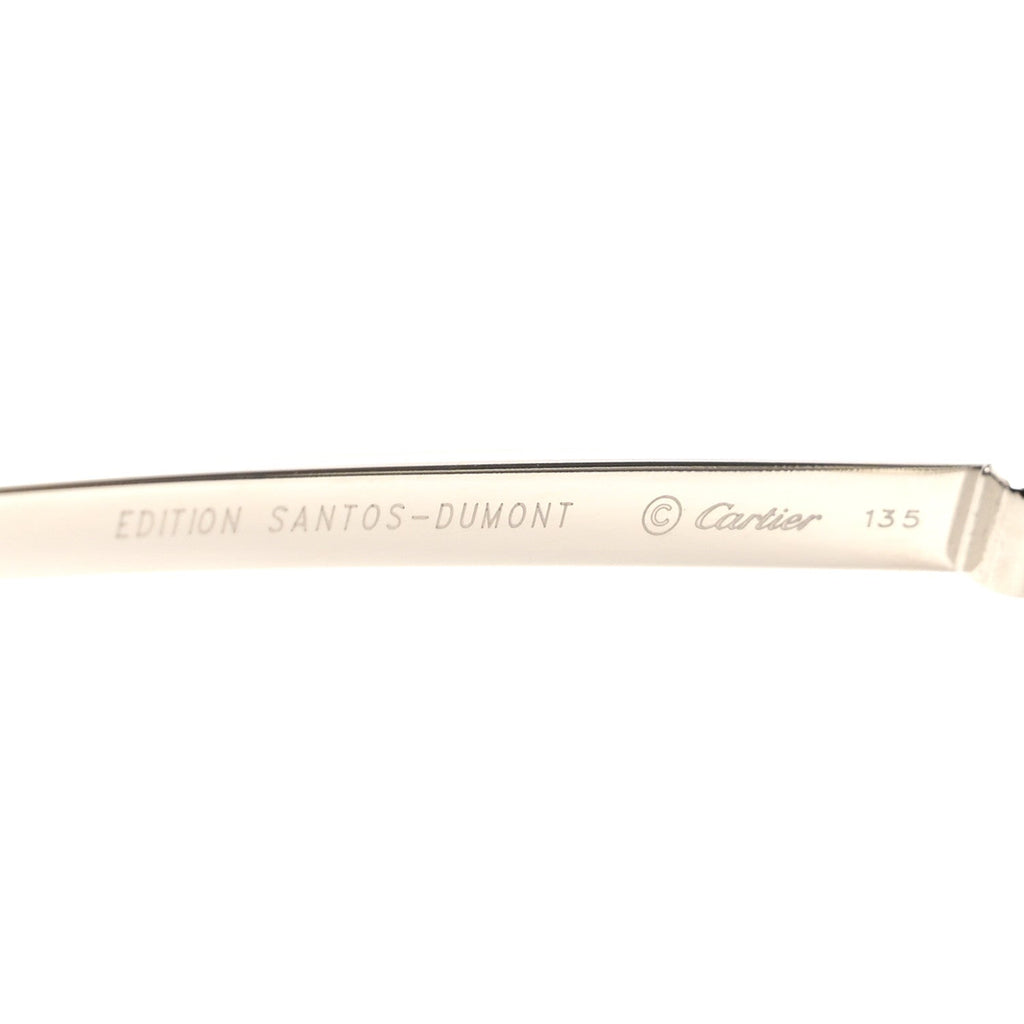 Santos de Cartier Sunglasses CT0074S Black