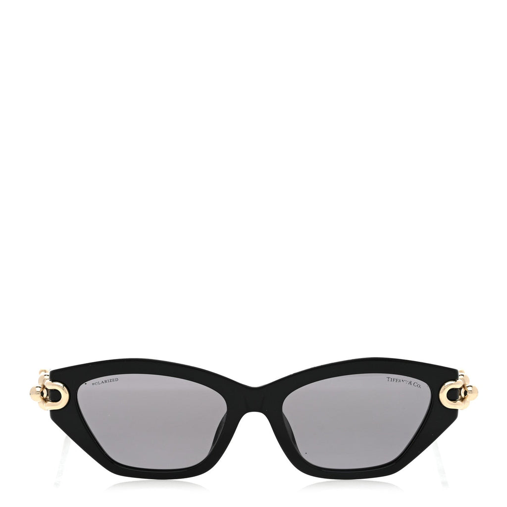 Acetate Polarized HardWear Cat Eye Sunglasses TF4231U Black