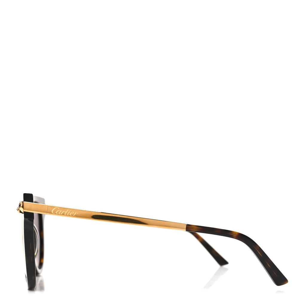Acetate Panthere Cartier Sunglasses CT0024S Gold Dark Havana