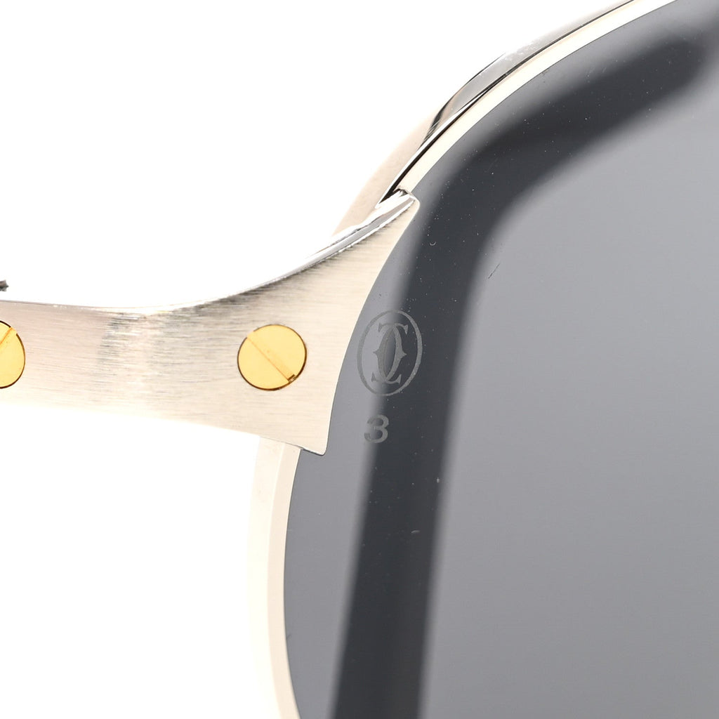 Santos de Cartier Sunglasses CT0074S Black