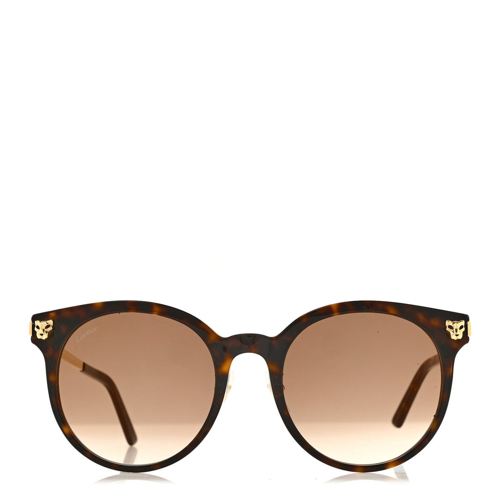 Acetate Panthere De Cartier Sunglasses CT0245SK Tortoise Gold
