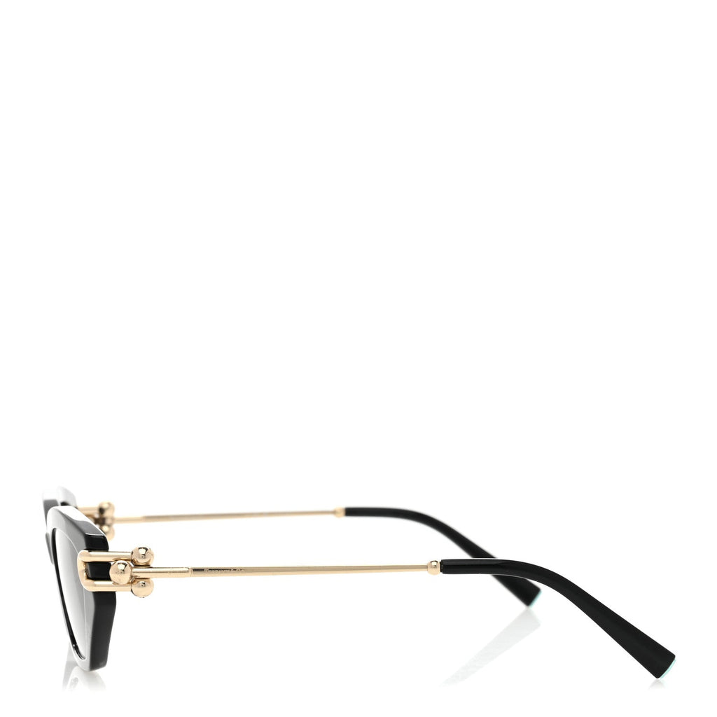 Acetate Polarized HardWear Cat Eye Sunglasses TF4231U Black